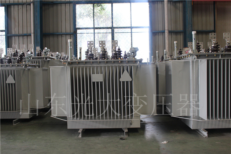夷陵S20-500KVA/10KV